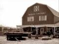 videos de Springdale Farms
