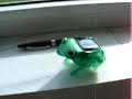 Crazy solar frog