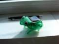 Crazy solar frog