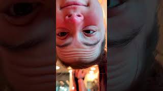 When a gym bro sees you filming, they just cant resist?#gymbro #funnygymbro #gym #gymgirl #gymrat