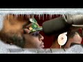 101 Barz Heinek\