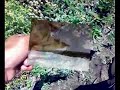 Black bass in Portugal
