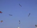 Revolution kite team : The FlyingSquad / 4 kites