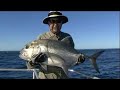 GT Fishing Coral sea