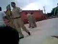 Jackass De La Escandon