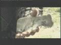 TERROR IN YUGOSLAVIA
