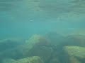 Snorkeling at Hoi Ha Wan, Hong Kong 20091003