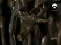 Cultura Celta, los Druidas 1/3