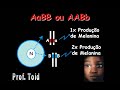 Biologia: Herança Quantitativa - Cor de Pele 02 (Prof. Toid)