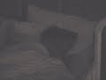 Ray Sleeping