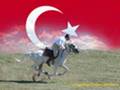 ÜLKÜCÜLÜK BÜYÜK BİRLİK PARTİSİ BBP BOZKURT ALPEREN OCAK DAVA
