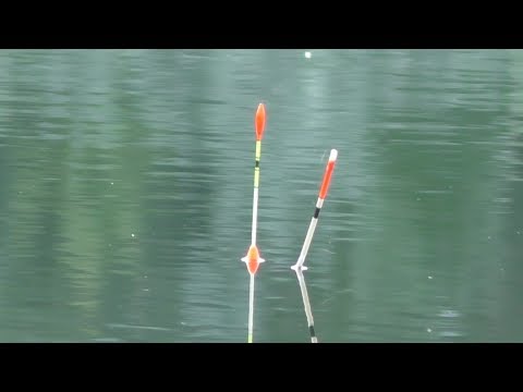 простая рыбалка на ютубе простая рыбалка на ютубе