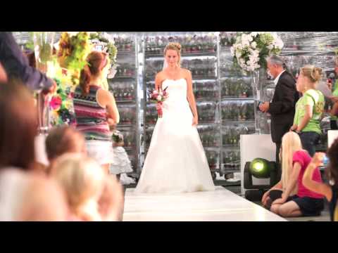 how to harvest orchids