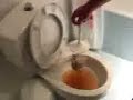 Laganas:popperinho spila la sua merda dopo una giornata passata sul cesso....spiiiiiiiiil!!!ahahahah