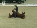 Cowboy and Horse Act Amsterdam 2007 Honza Blaha Gaston