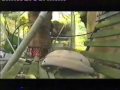Aristasia Documentary Part 3: A Weekend at Miss Martindale's Aristasia Documentary Part 3: A Weekend at Miss Martindale's