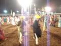 videos de Garaba