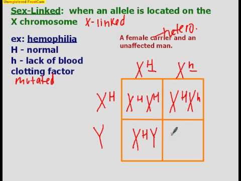Incomplete Dominance, Codominance, and Sex-Linked
