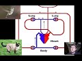 006 - phylogenetics paul andersen discusses the specifics of phylogenetics. the evolutionary relationships of organisms are discovered through both morpholog...