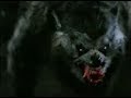  - MovieZen Video