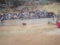 CORRIDA DE TOROS EN MAMARA 2009.MPG