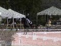 Tara Stegen-Dressage at Holiday & Horses