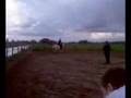 videos de Jan paardrijden