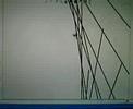 HUGE LINE RIDER LOOP!!!!!