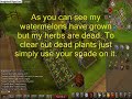 [RS] Farming Guide