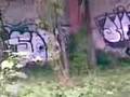 videos de el sodik y el sion