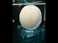 Most Expensive Fruit In The World