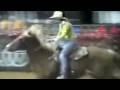 Horses *Cowgirls Don\