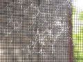 Chemtrail Fallout Fibers? Oct 16 2010 Chicago