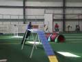 videos de Klepto AKC Agility 9-29-08