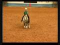 Tinsel Jac 2008 NRHA Derby