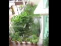 Bangsar 2 1/2 Storey Link End Lot