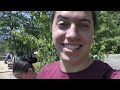 It's time to go on a camping expedition! Chris's YouTube channel: youtube.com Social Me: Twitter - twitter.com Facebook - facebook.com Pinterest - pinterest.com Google Plus - gplus.to My Websites: Di Franco Hosting - difrancohosting.com Personal Site - http TekSocial - teksocial.com Ad for 5 - http Resources: YouTube Guide - daviddifran.co QuiBids Guide - daviddifran.co eBooks - daviddifran.co Other Channels: Di Franco Gaming - youtube.com Mobile Videos - youtube.com TekSocial Video - youtube.com
