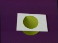 Conic Section.mpg