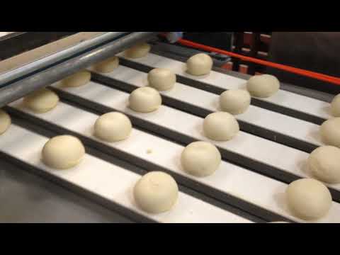 Konig Rex Futura 5 Row Roll Machines (Bakery) | Harvest Equipment and Fabrication Inc (1)