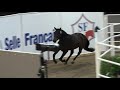 Tchouck de Toscane