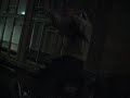 riding the horse?