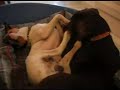 bodeguero andaluz y labrador  video # 1 