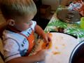 Apricot cutting with the kids