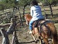 Riding horses, Bandera, Tx