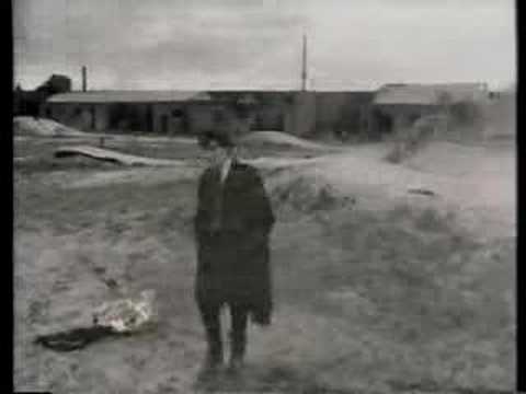 Video Tin Finn - Through The Years