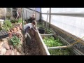 CRMPI: Build a worm farm in your pathways - YouTube http://t.co/Tloxsojr