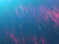 Jayz Kanye West Cant Tell Me Nothing Manchester