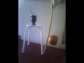 Berimbau - Toque de Iuna
