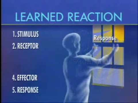 Stimulus - Title: Stimulus Response Author/Producer: The Association for the Study of Animal Behaviour Suggested Age Range: Ages 13-18.