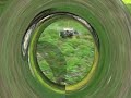 Primi salti HOBAO St rtr Primi salti HOBAO St rtr